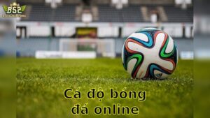 Cá độ bóng đá online - Trải Nghiệm Cá Cược Đỉnh Cao Mỗi Ngày 2025