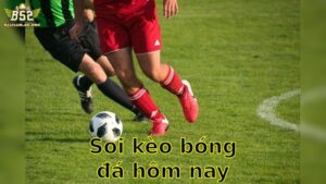 Soi kèo bóng đá hôm nay - Chinh Phục Chiến Thắng Với Dự Đoán Chính Xác 2025